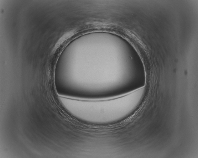 X0000087671261200705040716