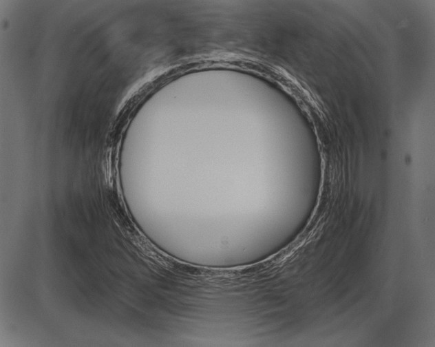 X0000087671262200705040716