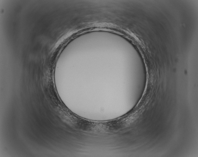 X0000087671263200705040716