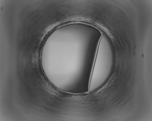 X0000087671264200705040716