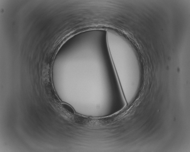 X0000087671265200705040716