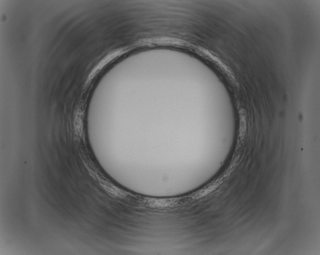 X0000087671266200705040716