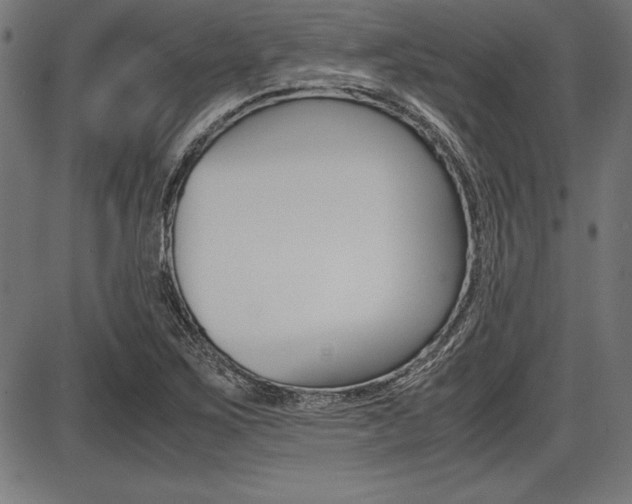 X0000087671267200705040716
