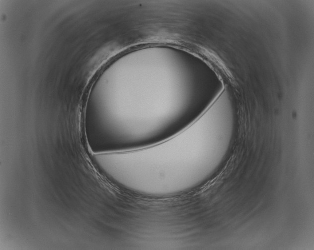 X0000087671268200705040716