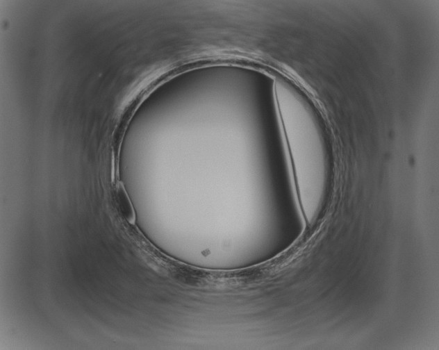 X0000087671269200705040716