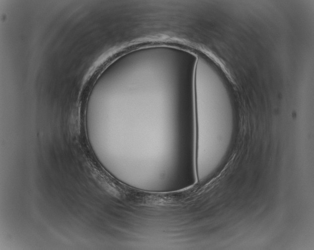 X0000087671270200705040716