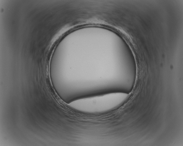 X0000087671271200705040716