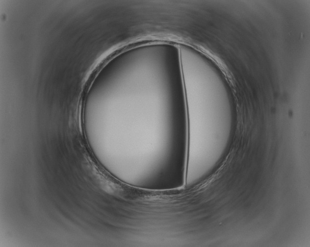 X0000087671272200705040716