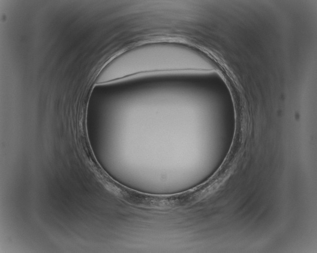 X0000087671273200705040716