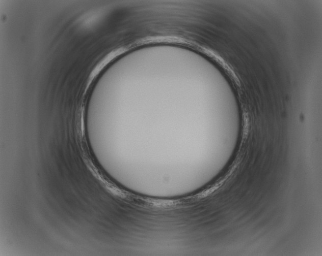 X0000087671274200705040716