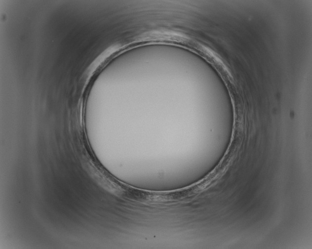 X0000087671275200705040716