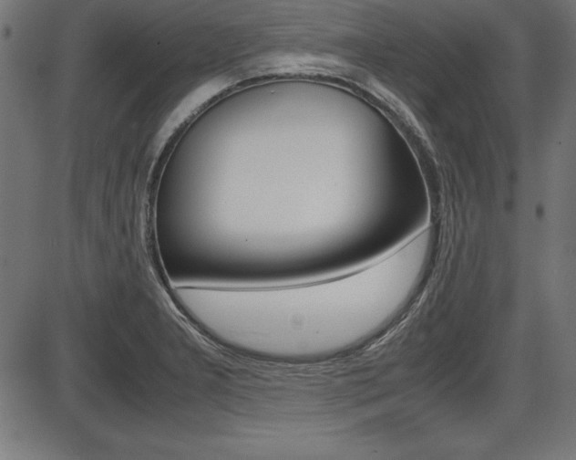 X0000087671277200705040716