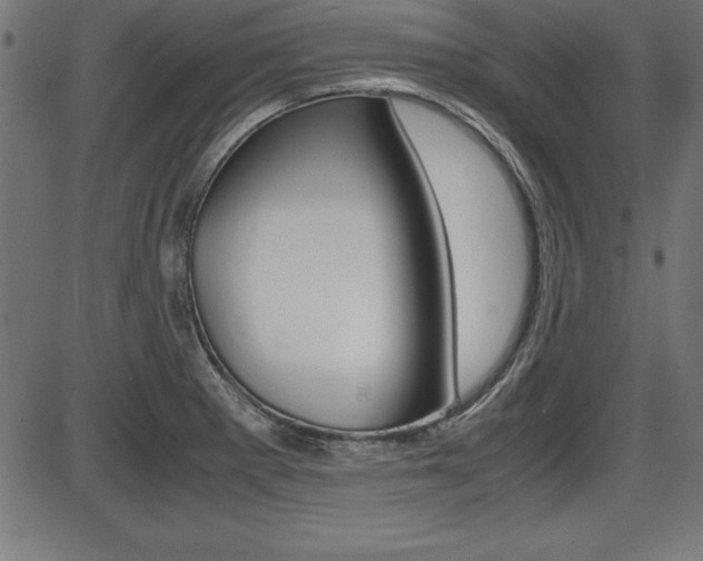 X0000087671281200705040716