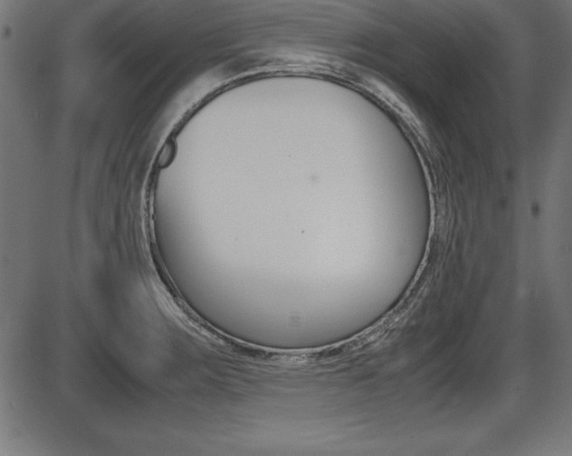 X0000087671283200705040716