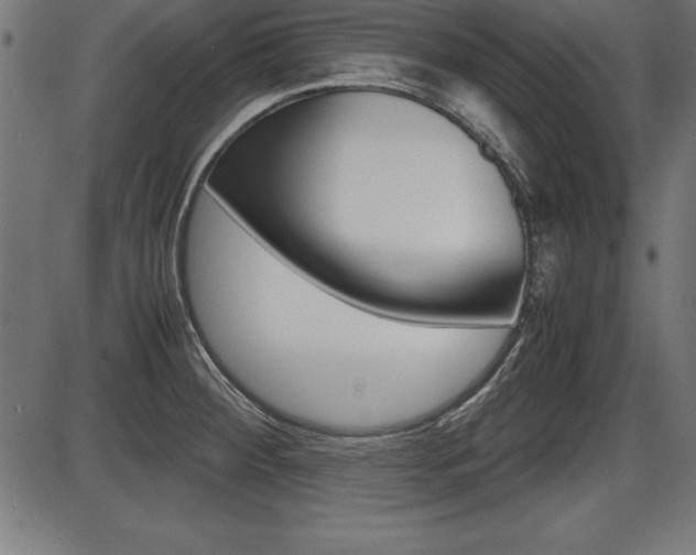 X0000087671284200705040716
