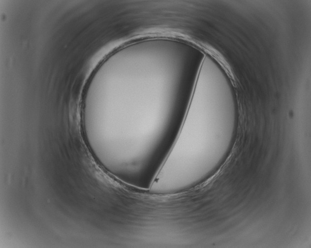 X0000087671288200705040716