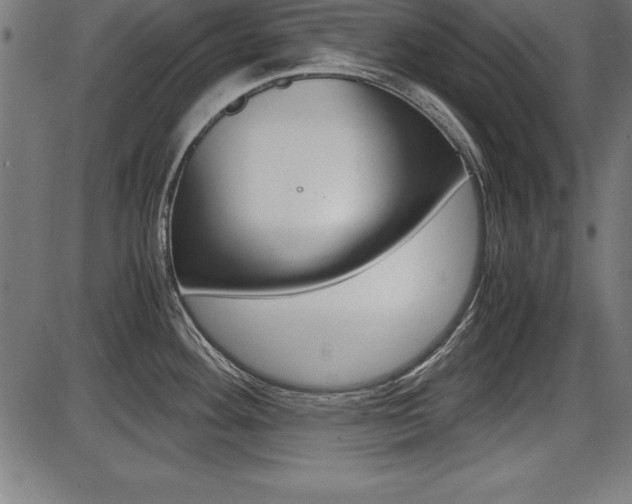 X0000087671292200705040716