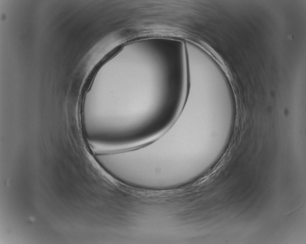 X0000087671293200705040716
