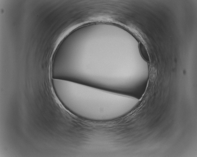 X0000087671295200705040716