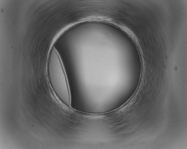 X0000087671296200705040716