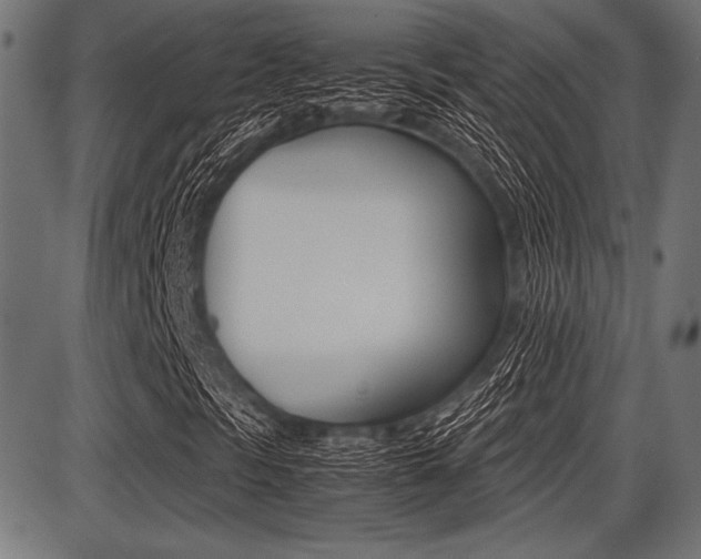 X0000087671297200705040715