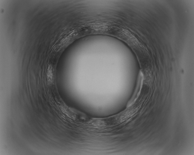 X0000087671298200705040715