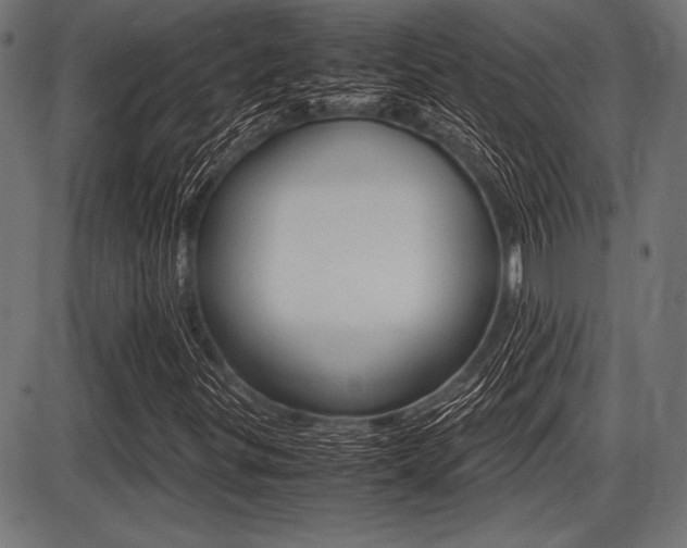 X0000087671299200705040715