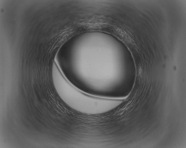 X0000087671300200705040715