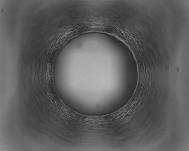 X0000087671301200705040715