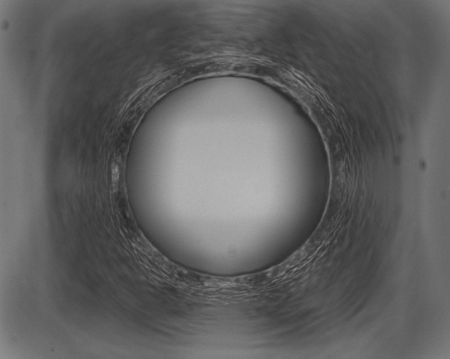 X0000087671302200705040715