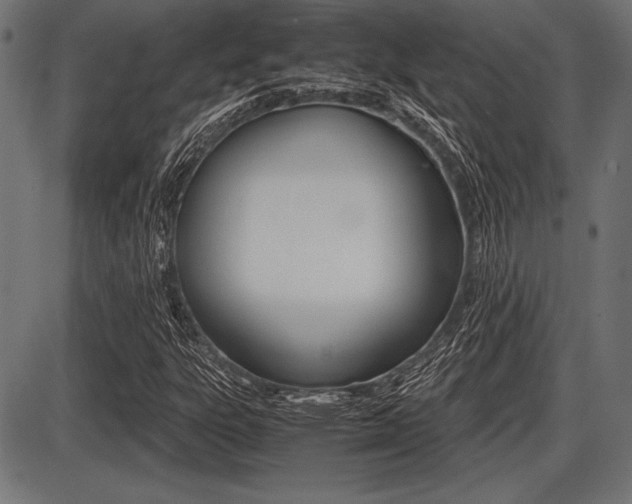 X0000087671303200705040715