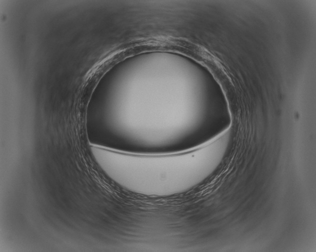X0000087671304200705040715