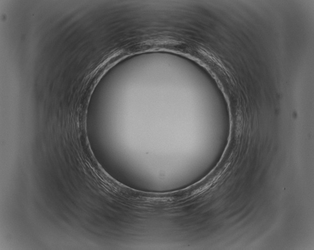 X0000087671305200705040715