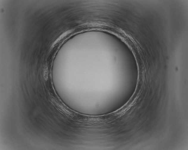 X0000087671306200705040715