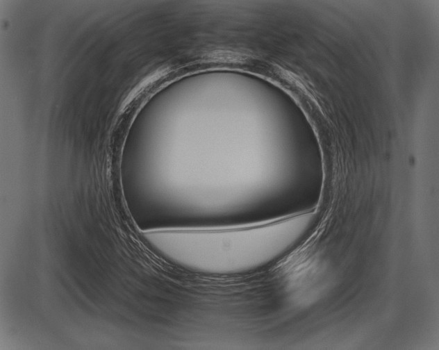 X0000087671307200705040715