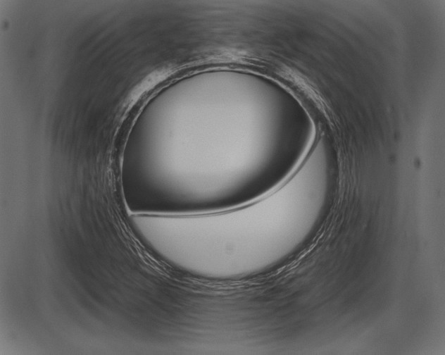 X0000087671308200705040715
