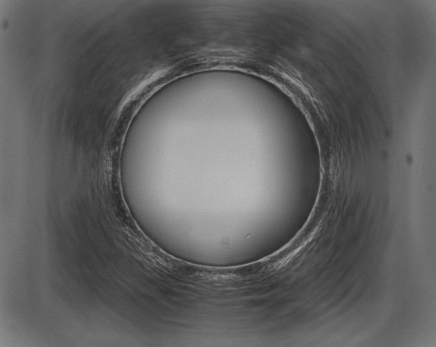 X0000087671309200705040715