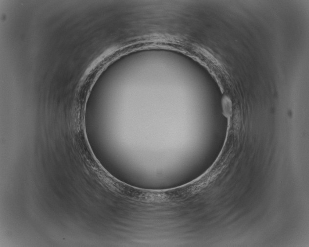 X0000087671310200705040715