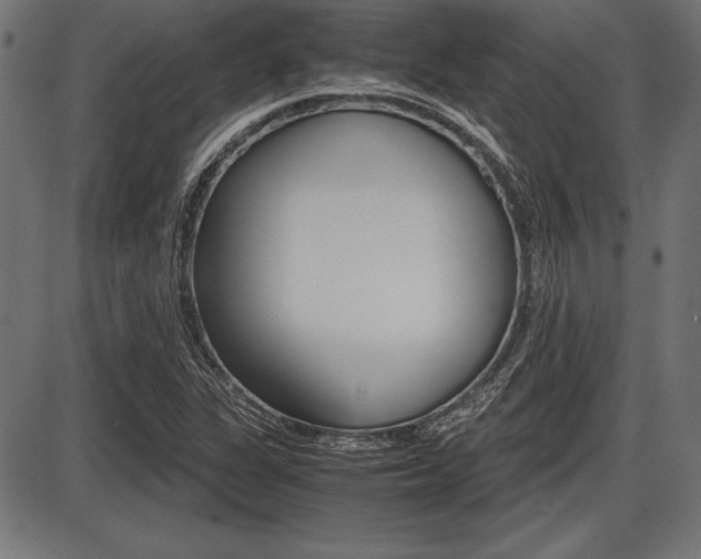 X0000087671311200705040715
