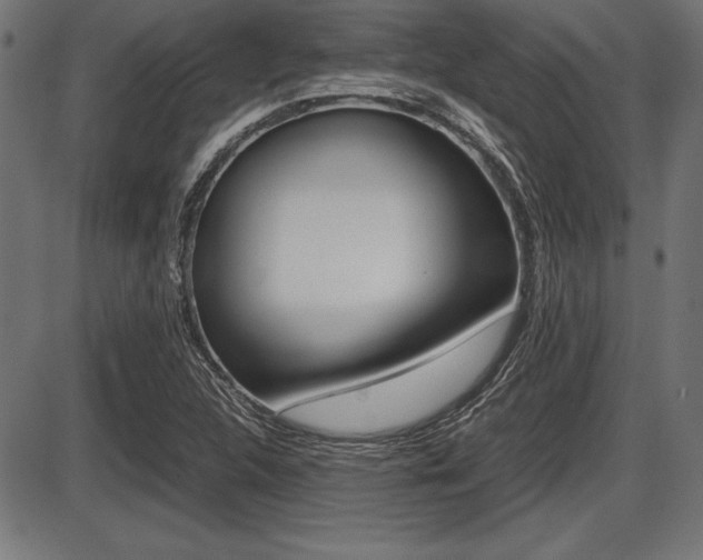 X0000087671312200705040715