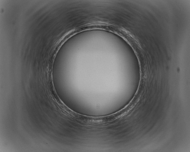 X0000087671313200705040715