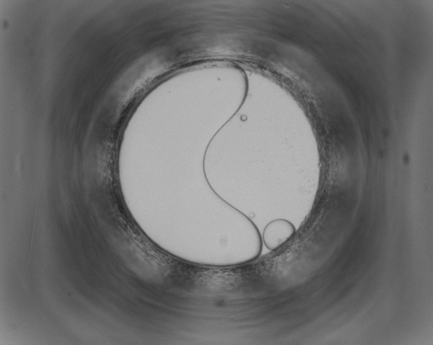 X0000087671314200705040715