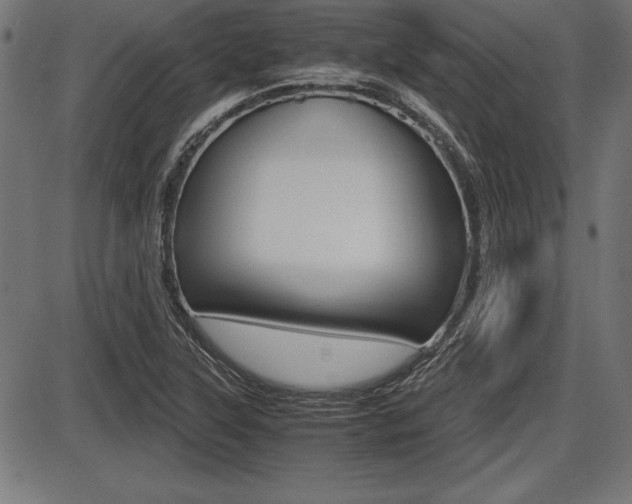 X0000087671315200705040715