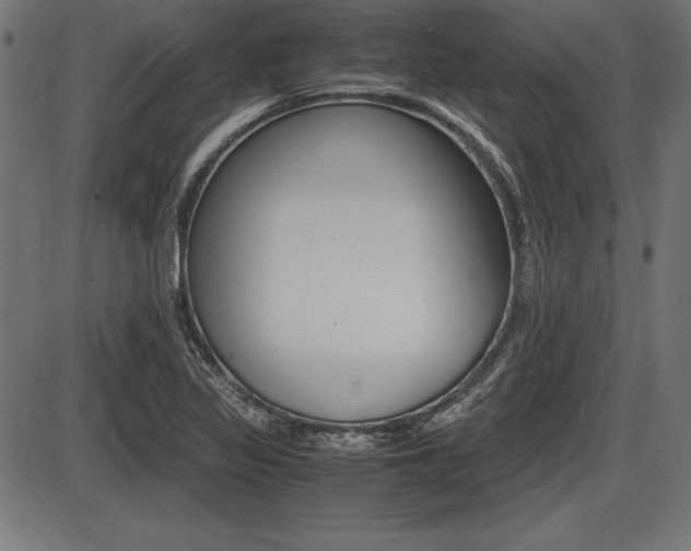 X0000087671317200705040715