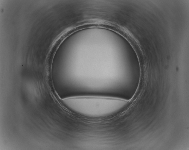 X0000087671318200705040715
