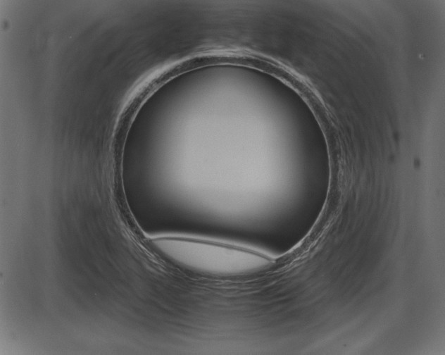 X0000087671319200705040715