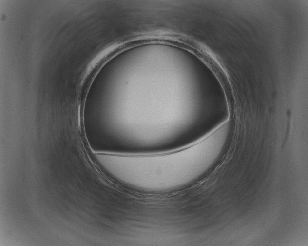 X0000087671320200705040715