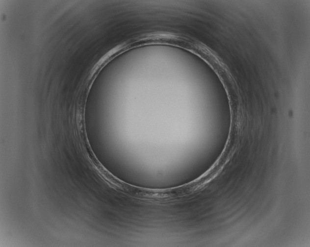 X0000087671321200705040715
