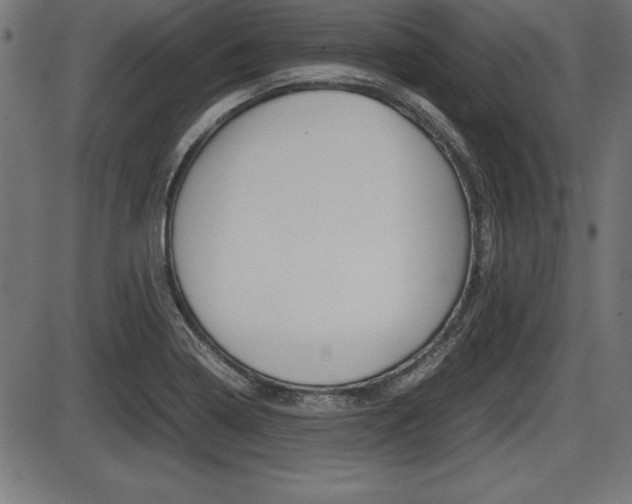 X0000087671322200705040715