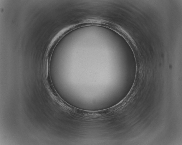 X0000087671323200705040715